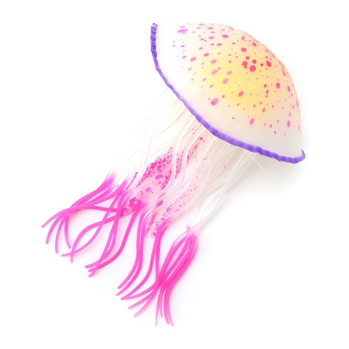 Aquarium simulation silicone - aquarium,