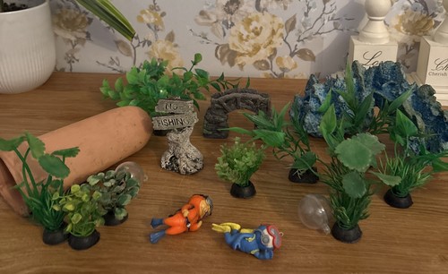 Fish tank aquarium - fish,