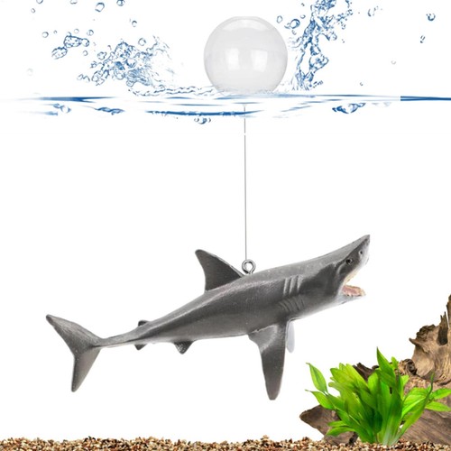 Floating shark aquarium - floating,