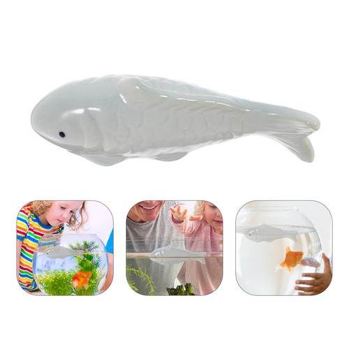 Aquarium floating fish - aquarium,