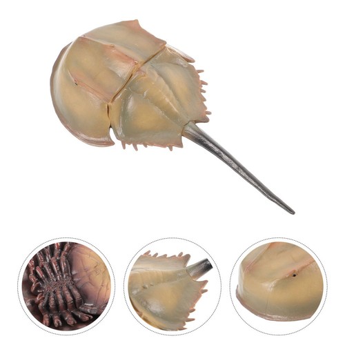 Reusable plastic simulation - reusable,