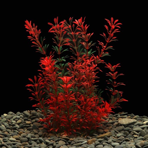 Lynko large red artificial - red,