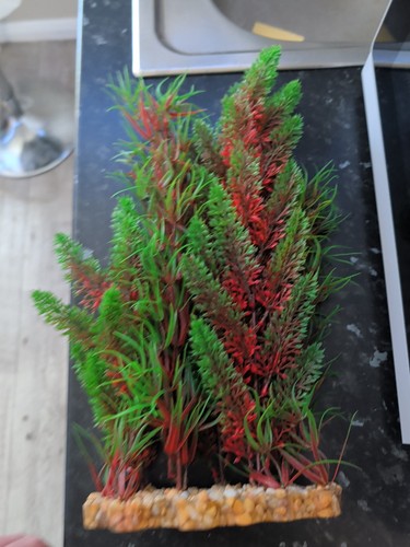 Large plastic fish tank - plastic,