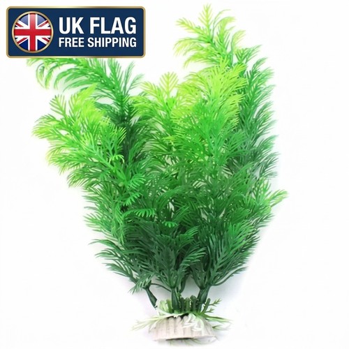 30cm large fish tank - fish, ornament