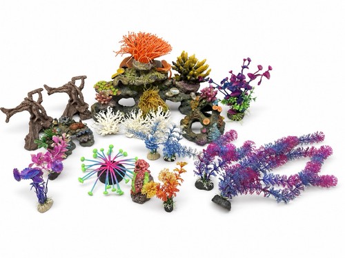 Aquarium fish tank - aquarium,