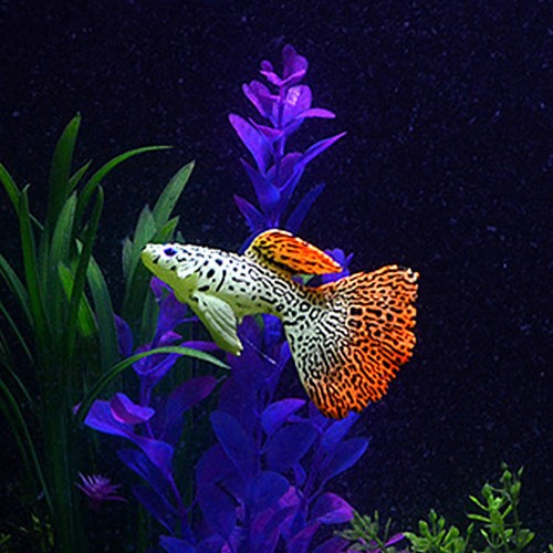 4pcs glow dark artificial - glow,