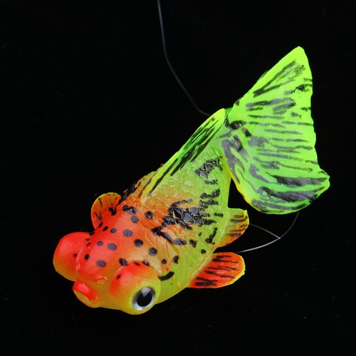 Fish tank decoration - tank,