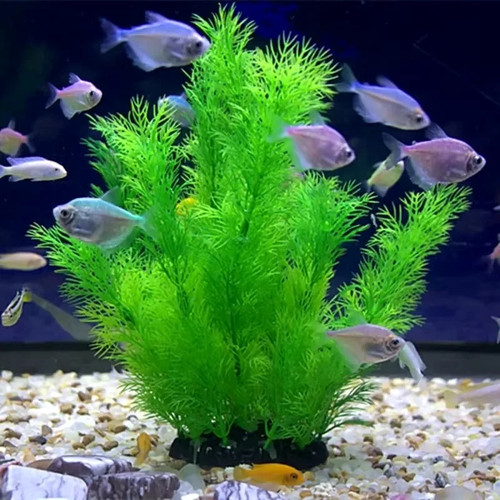 Fish tank decorations - fish,