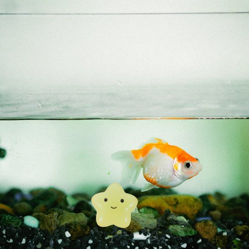 Pcs fish tank ornaments - 12,